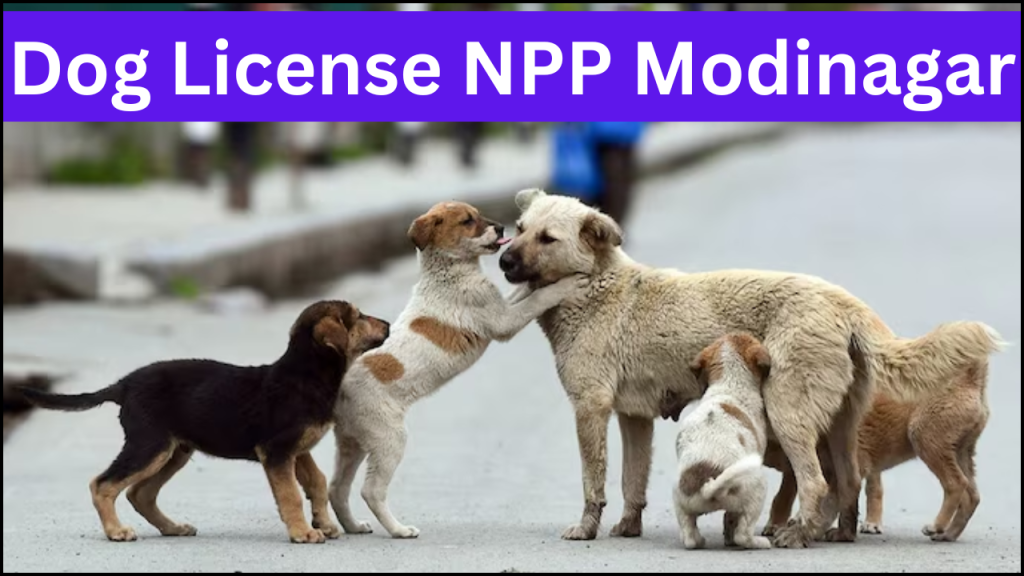 Apply for Dog License NPP Modinagar, Check Complete Process and Fees